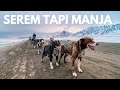 Naik Kereta Anjing di Svalbard