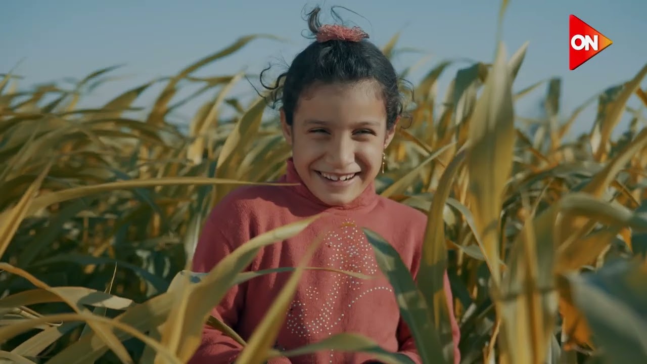 التحديات المتوازية خلال 10 سنوات.. الكهرباء والنقل وشبكة الطرق والمزيد من التحديات