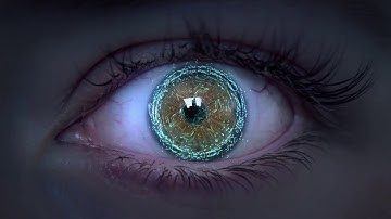 Sensors in the Car- When Vehicles Learn to See