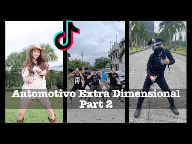 Automotivo ExtraDimensional - DJ Erik JP & DJ Patrick R ** Part 2 **