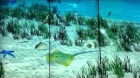 [TVC-VDS] MultiTouch Creates World