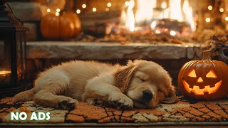 Calming Music For Dogs 🐶🎃 Anti Separation Anxiety Relief Music 👻 Sleep dog Healing &amp; Relaxation🌼