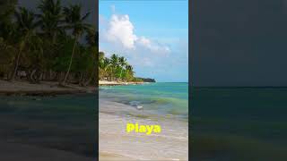 Las Terrenas | Dominican Republic 4K 🇩🇴 #lasterrenas #playabonita #dominicanrepublic #travel