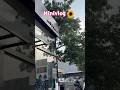 Ather Rizta Z 1st Servicing💖 #marathivlog #maharashtrianvlogs #minivlog 100/100 vlog