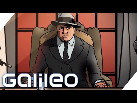 Quelle Était La Profession Officielle D’Al Capone