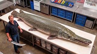 Giant Alligator Gar: Catch, Fillet & Cook – Masterful Butchery of a River Monster