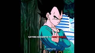 Saying Goodbye To Best Friend [Dragon Ball]