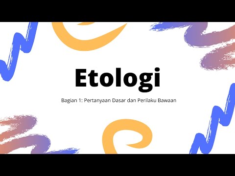 Video: Apa Itu Etologi?