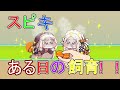 スピキある日の飼育！！