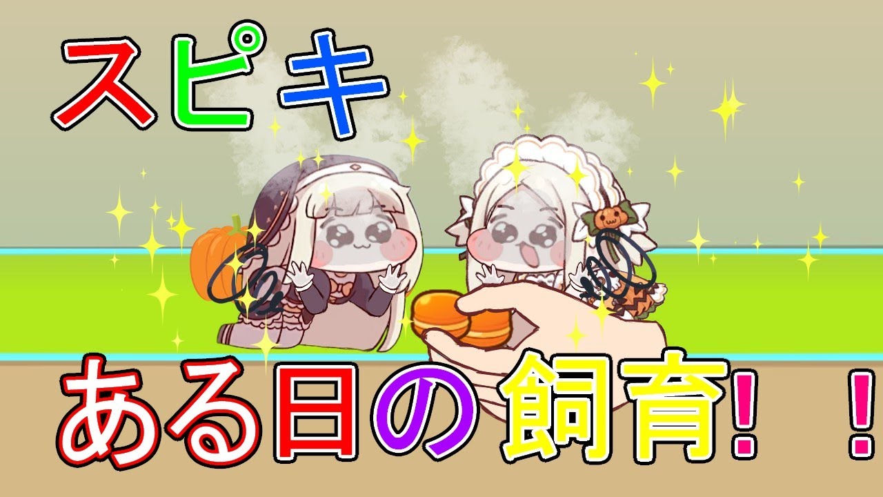 スピキある日の飼育！！