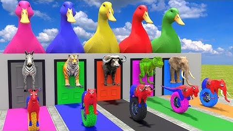 Long Slide Challenge 😂 | Cow vs Elephant vs Gorilla | 3D Animal Game