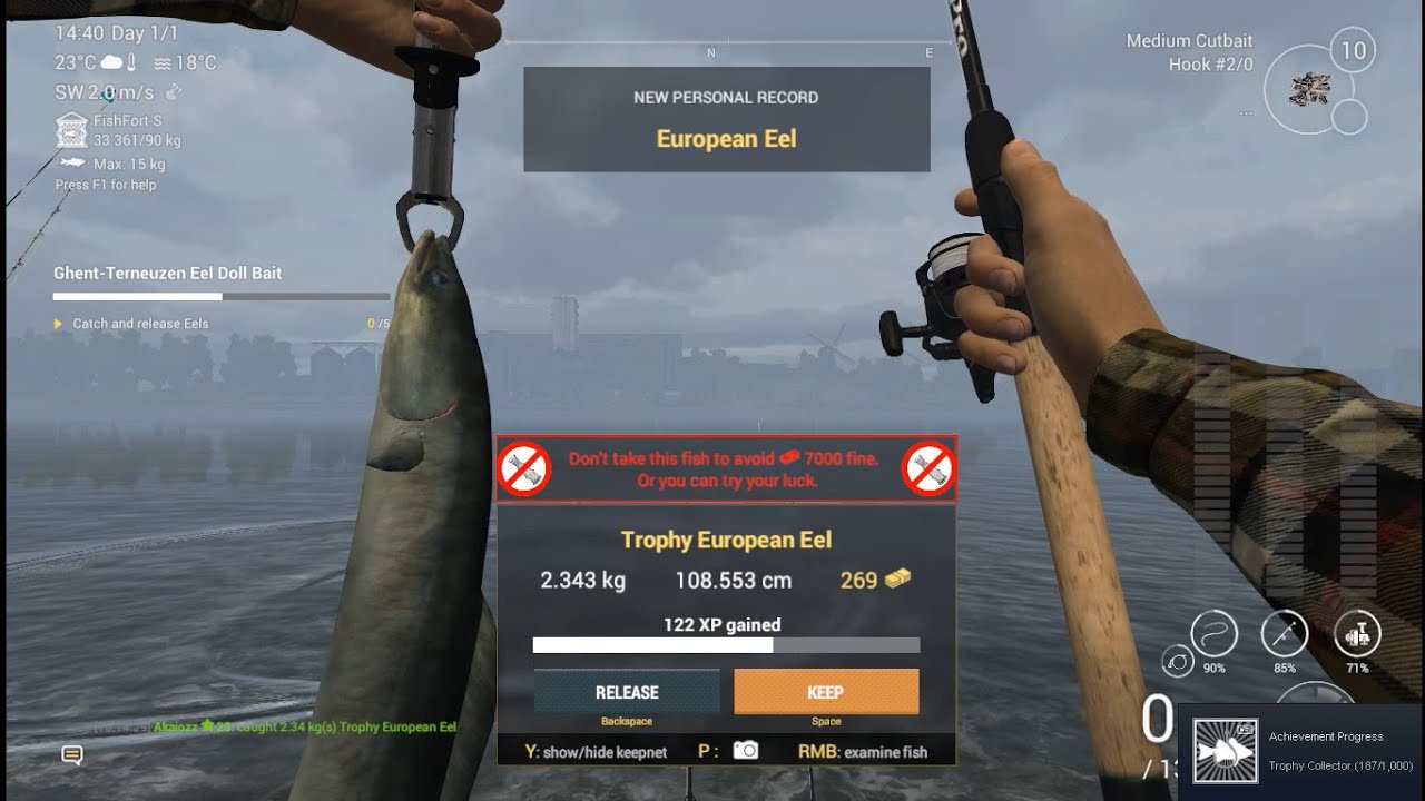 [Fishing Việt Nam] How to cacth European Eels GhentTerneuzen