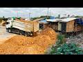 New update. Land filling process , Bulldozer SHANTUI DH17C3, Dump Truck unloading