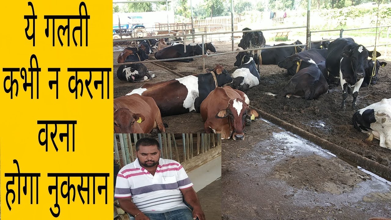 Sonal Dairy Farm Anand Gujrat