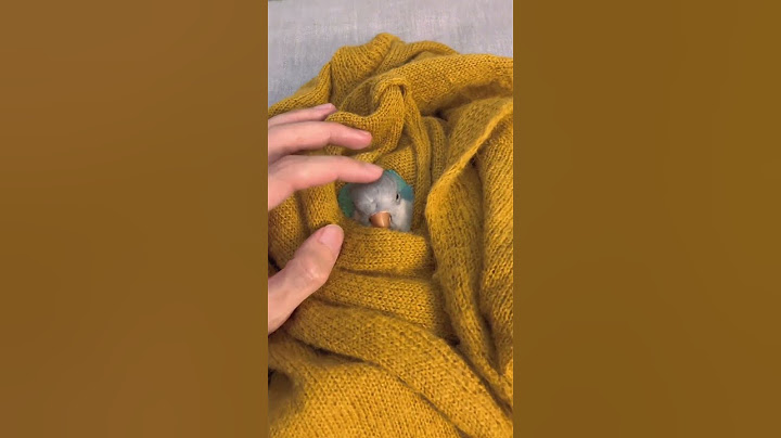 床搭子摸摸头就睡着了#鹦鹉 #萌宠 #搞笑 #pets #birds #cute #治愈 #parrot#shorts