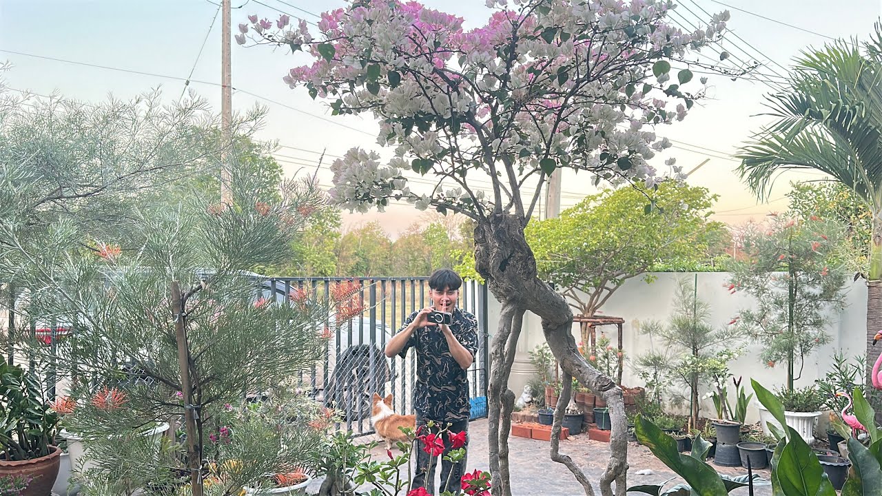 ใครบุกบ้าน ทำเอาตกใจหมดเลย !!!!!