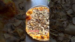 Roma Funkcioniše Li Fungi?