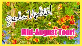 GARDEN TOUR ** Mid-August Garden SUCCESSES & FAILURES Container Gardening & Garden Beds