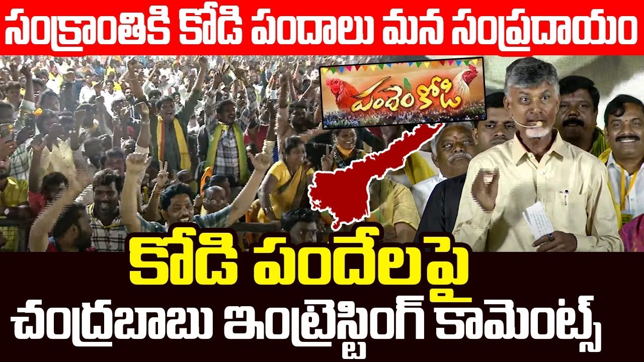 కోడి పందేలపై చంద్రబాబు కామెంట్స్ Chandrababu Interesting Comments on Sankranthi Kodi Pandalu