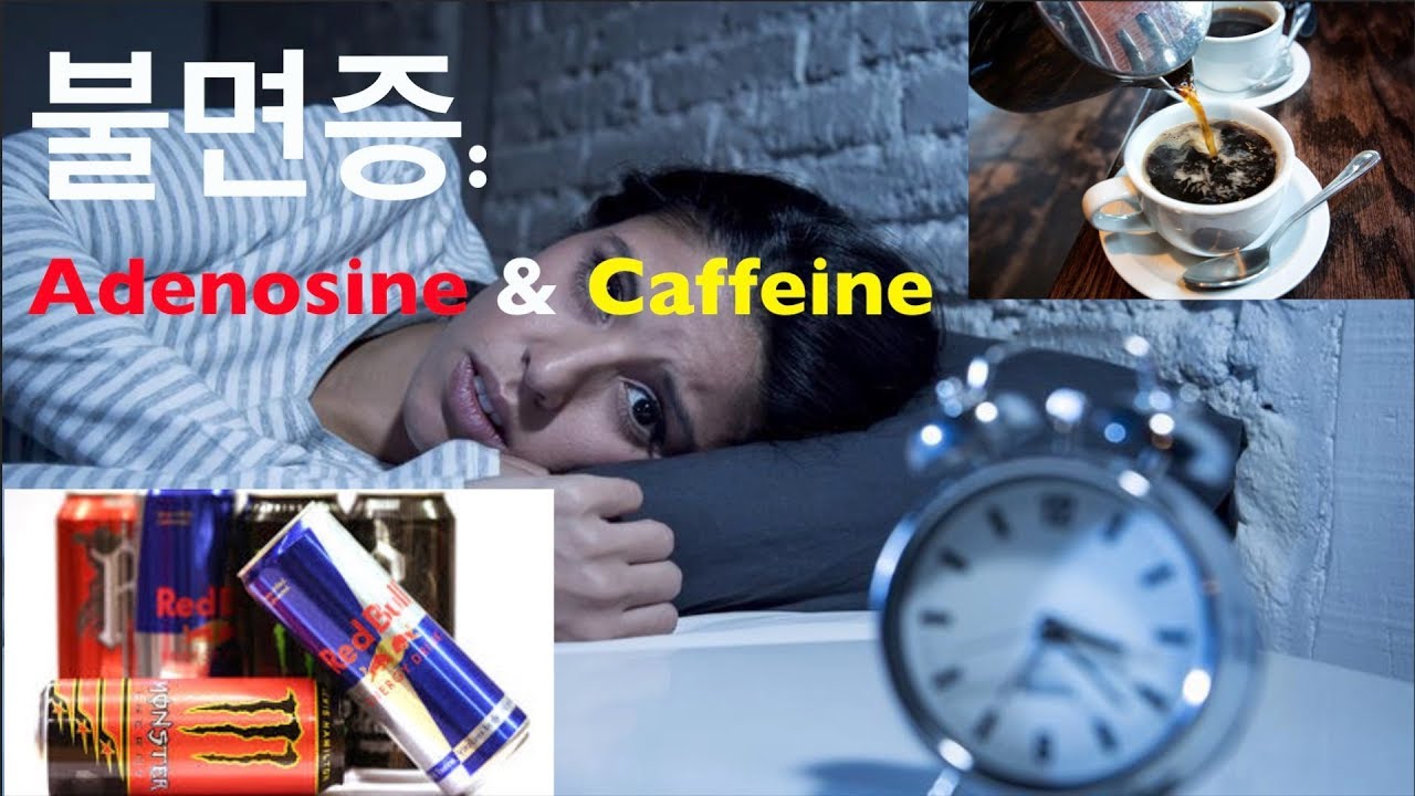 불면증 #1: 수면 유도 물질 - Adenosine & Caffeine (기능의학,영양의학) - YouTube