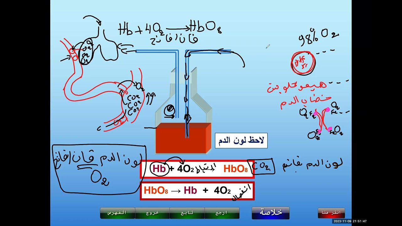 دور الدم في نقل الغاازات التنفسية ارتباط الهيموغلوبين بـ O2  و CO2 الرابعة متوسط