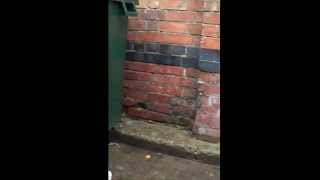 Remake of "Peeping Tom" (1960) Opening scene
