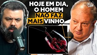 a VERDADE POR TRÁS da indústria do vinho