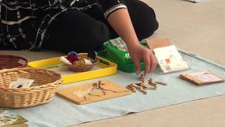 Primary Science Curriculum overview