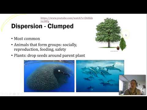 Video: Wat is geklonterde dispersie?