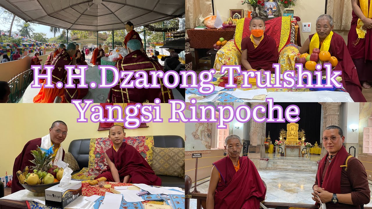 Blessing of H.H.Trulshik Yandsi Rinpoche