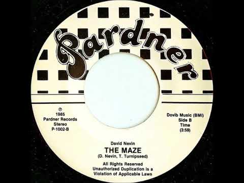 DAVID NEVIN   THE MAZE