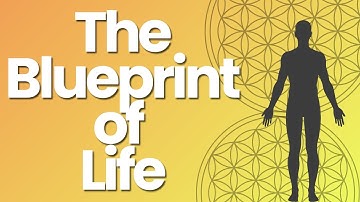 You Are Sacred Geometry: Fascia, Form & Living Architecture