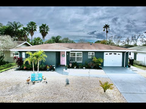 1703 Hibiscus Cir N, Oldsmar, FL home video tour