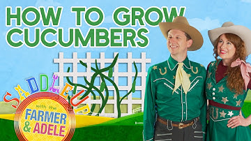 Saddle Up:  Fun Gardening for Kids, How To Grow Cucumbers