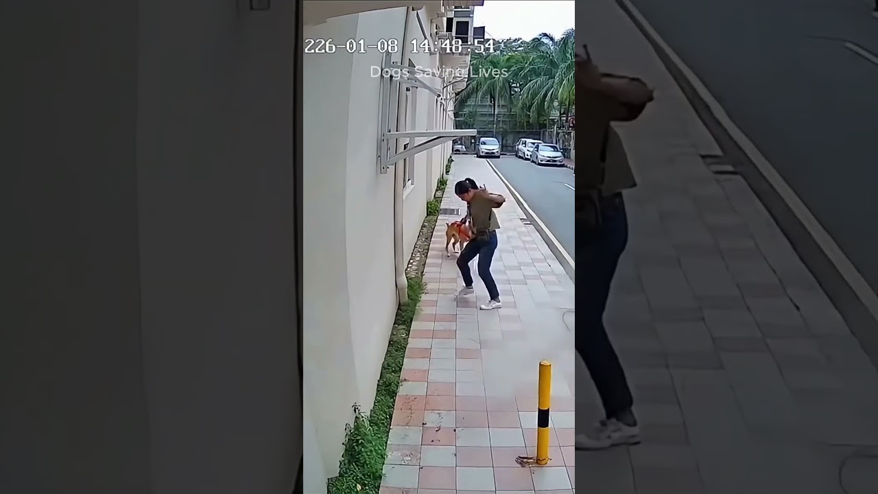 Good boy moved first 🐶😳Pure instinct. Split-second save.