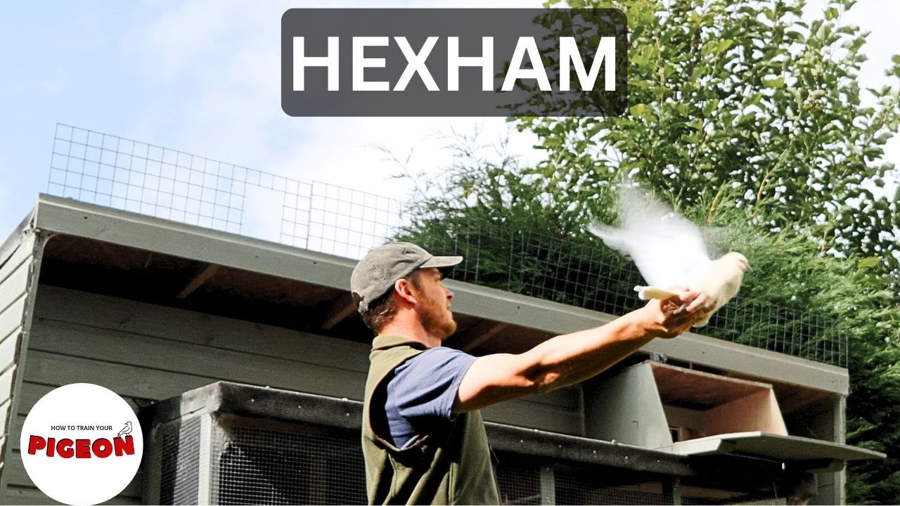 (Ep.91) Racing 128 Miles At 8 Months Old