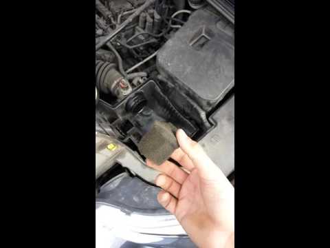 Замена воздушного фильтра, замена маслоотделительной прокладки воздушного фильтра форд фокус 3