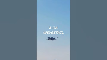 The Incredible Bulk - E-7A WEDGETAIL - #airforce - #shorts
