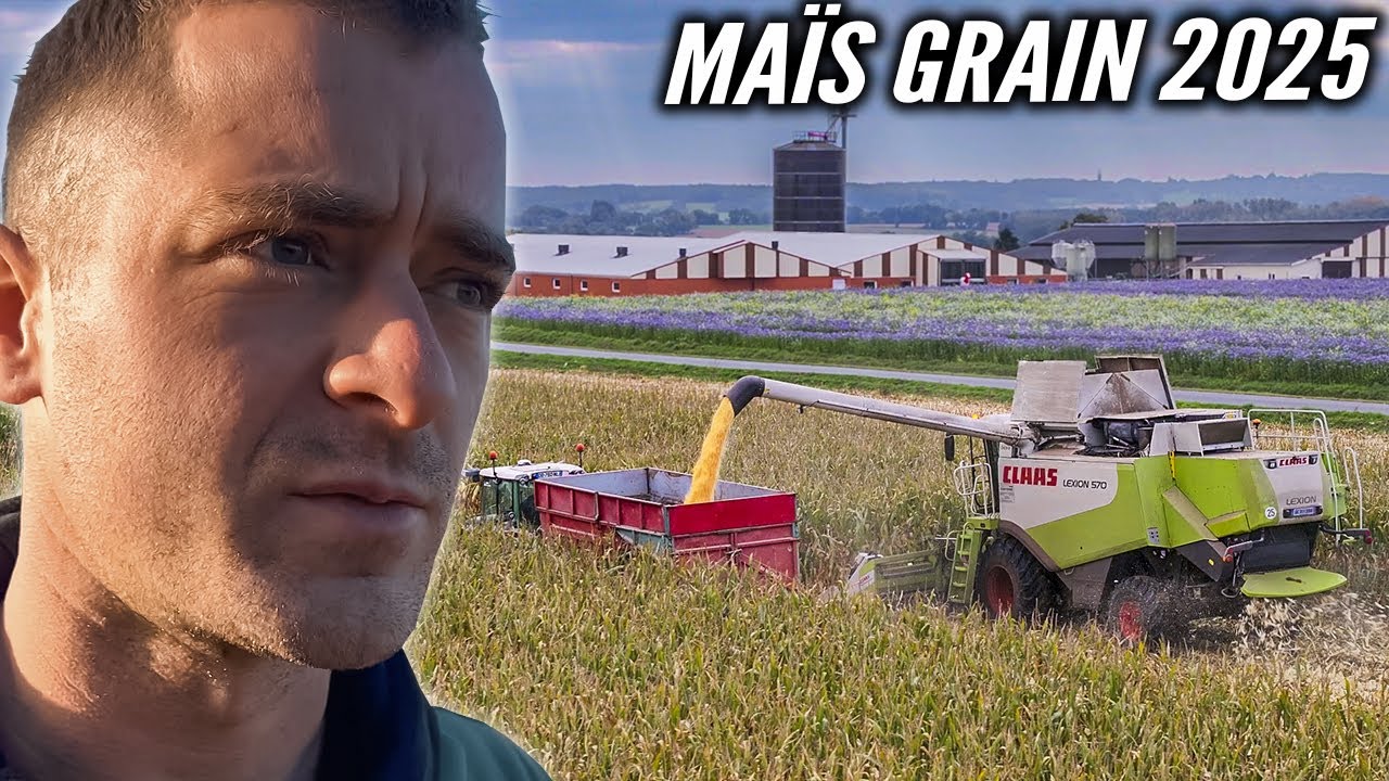 ON ATTAQUE LE MAÏS GRAIN 2025 !