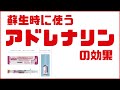 【急変時の対応】蘇生時に使うアドレナリン（ボスミン）の効果を理解する-ACLS/事前学習・振り返り-