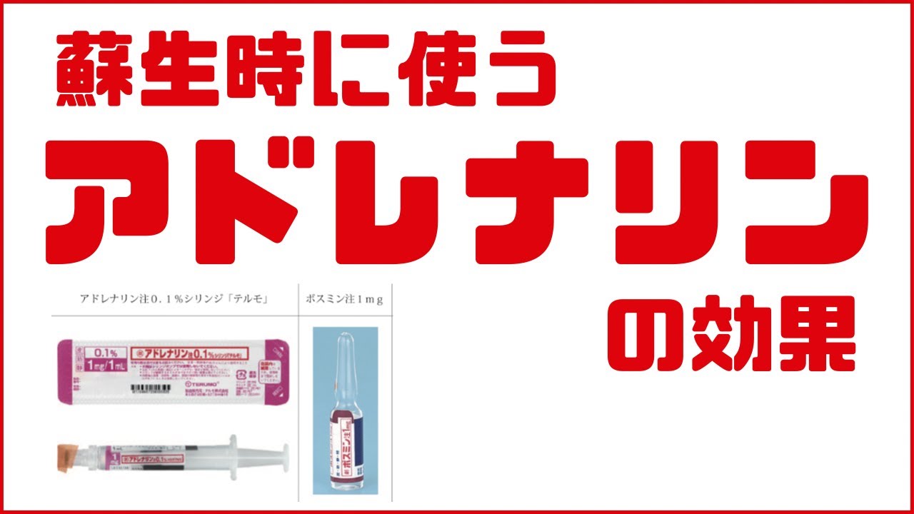 アドレナリンシリンジ テルモ 急変時の対応 蘇生時に使うアドレナリン ボスミン の効果を理解する-ACLS 事前学習・振り返り