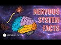The Amazing Nervous System: How Your Body Communicates and Responds