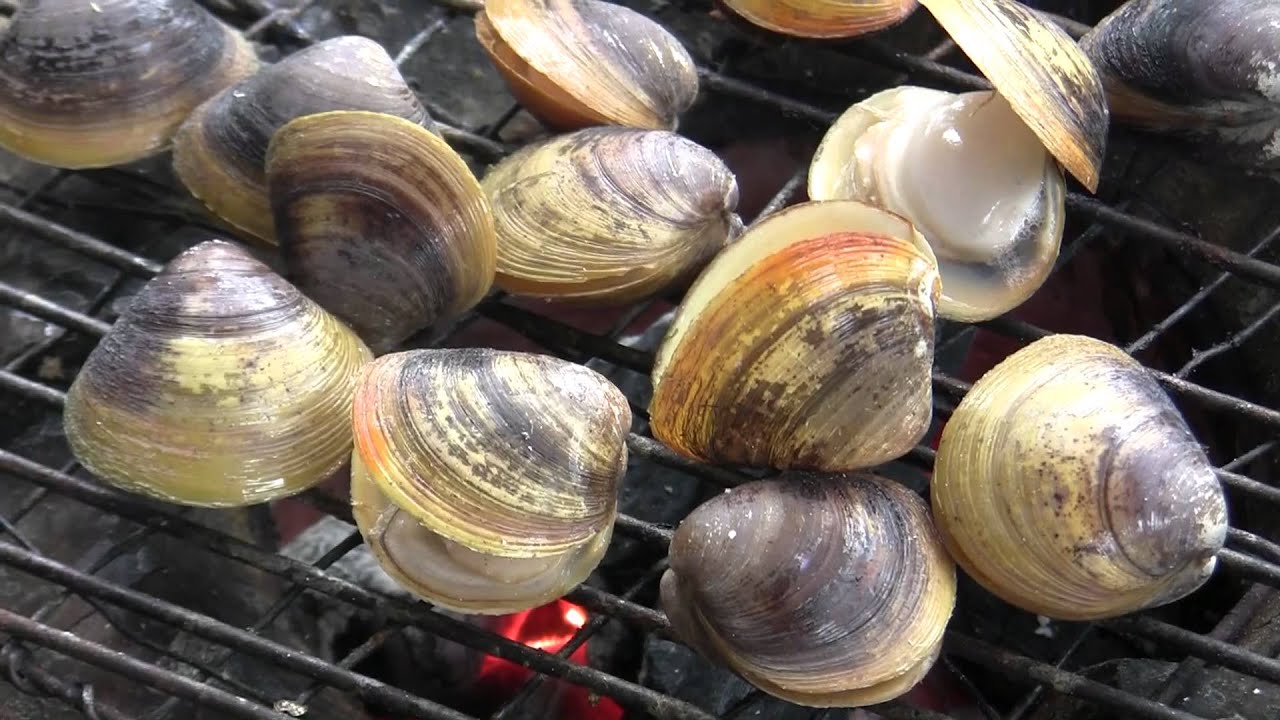 Vietnam Misc Food & Drinks Compilation. Jan 2009 - Fotoken