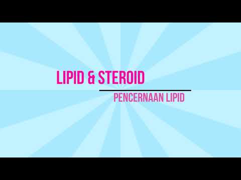 Video: Apakah lipid masuk ke dalam lakteal?