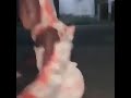 Yara Kanana Sun Iya Iskanci 