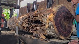 Viral Trembesi Sawmill Process 😱 Giant Log Suddenly Cracked During First Cut ⚠️