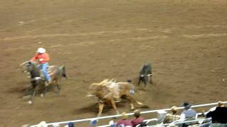 Ifr 40 - Steer Wrestling Fail Hd