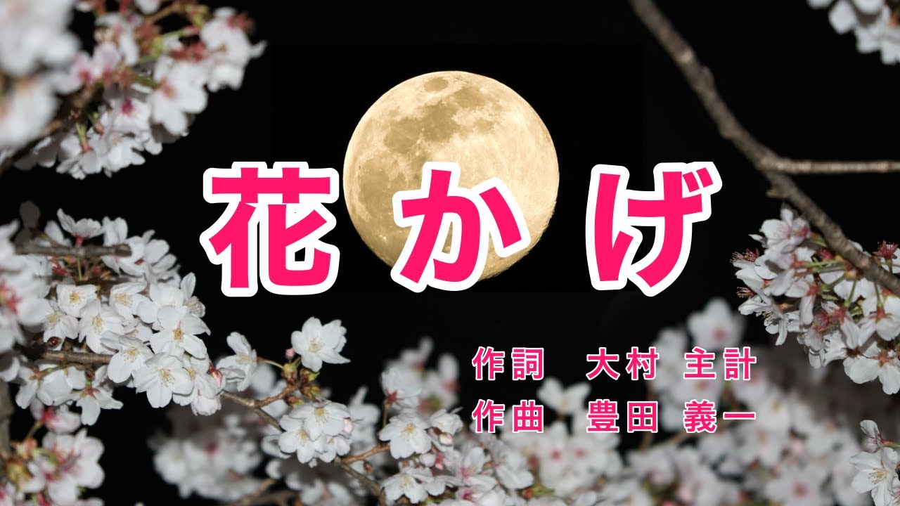 Traditional Japanese Songs｜Hanakage “Under the Falling Cherry