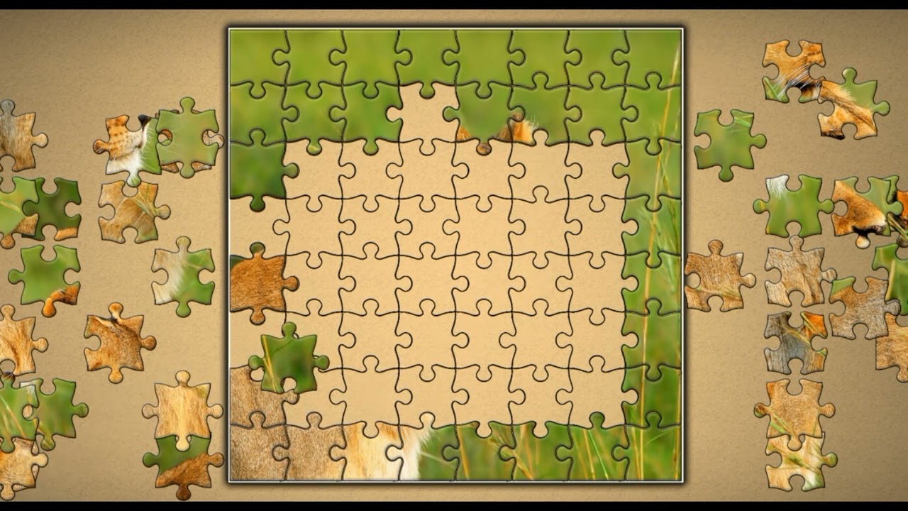 hd lioness wild animals jigaw puzzle game🧩😊 \\ @fun