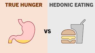 What Makes Us Want to Eat?